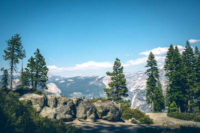 Scenic view of landscape against clear blue sky