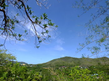 Scenic view of blue and mountains against sky