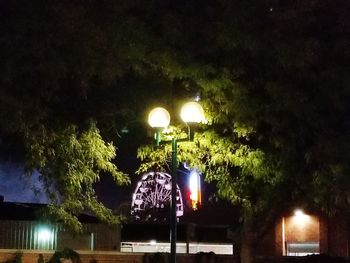 Illuminated trees against sky at night