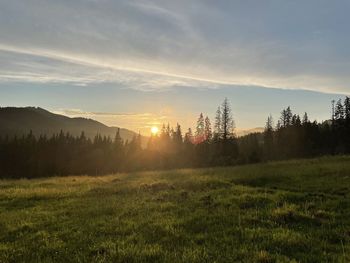 Scenic view of field against sky during sunset