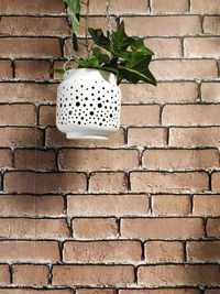 Close-up of plant against brick wall