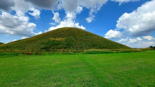 Scenic view of grassy field against sky