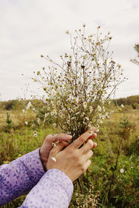 Close-up of hand holding flower on field