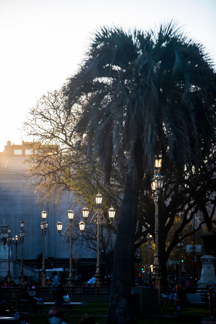 PALM TREES BY STREET AGAINST SKY