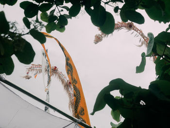 Low angle view of plants against sky