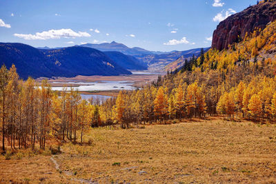 Scenic view of forest against sky during autumn