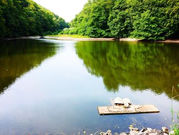 Scenic view of lake by trees against sky