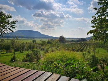 Scenic view of landscape against sky