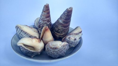 Close up of eggs against white background