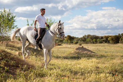 Horse riding horses in a field