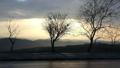 Silhouette bare tree against sky during sunset