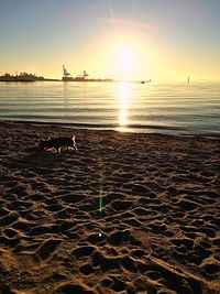 Scenic view of sea at sunset