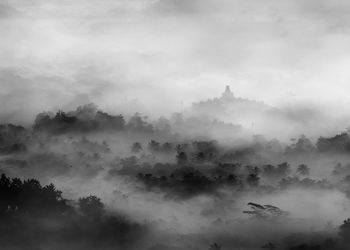 Scenic view of trees against sky at foggy weather