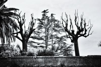 Low angle view of silhouette trees against sky