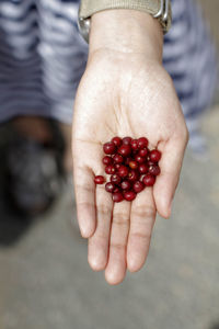 Midsection of woman holding berries