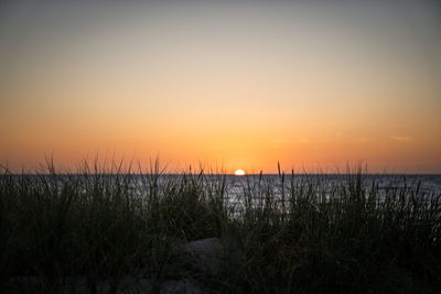 Scenic view of field against sky during sunset
