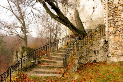 Staircase amidst trees during autumn