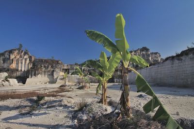 Panoramic view of land against clear blue sky