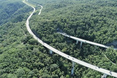 High angle view of road amidst trees in forest