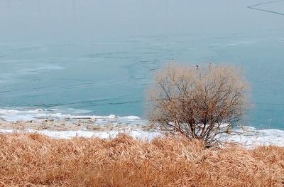 Scenic view of sea against sky during winter