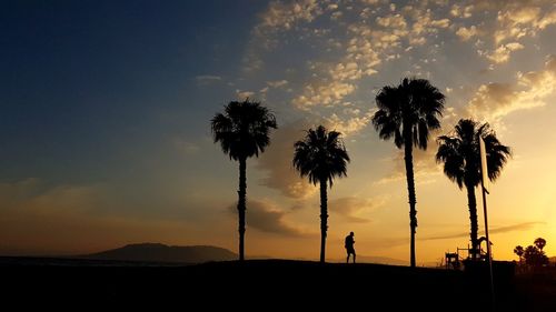 Silhouette palm trees against sky during sunset