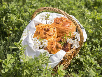 Close-up of food in basket