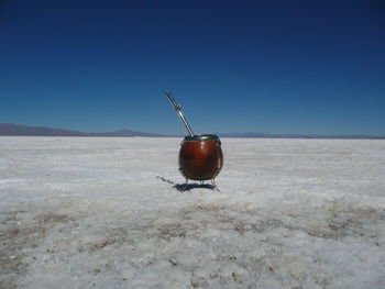 Close-up of red crab on landscape against clear blue sky