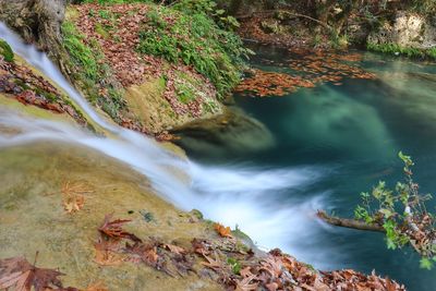 Scenic view of stream flowing through rocks