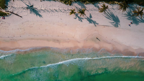 Aerial view of beach