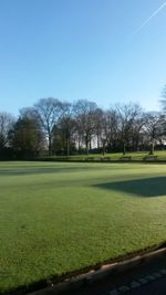 Scenic view of grassy field against blue sky