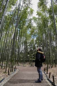 Full length of woman standing amidst trees in forest