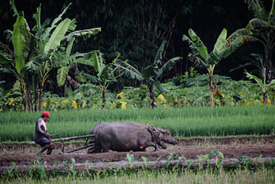 Side view of people relaxing on field