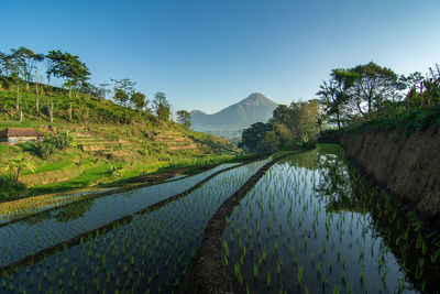 Scenic view of mountains against clear sky