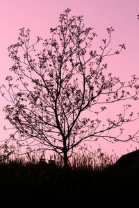 Silhouette tree against sky during sunset