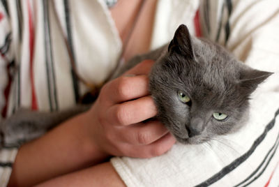 Midsection of woman holding cat