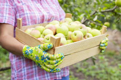 Midsection of woman holding fruits