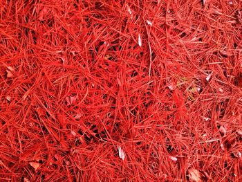 Full frame shot of red background