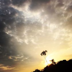 Silhouette of trees against cloudy sky