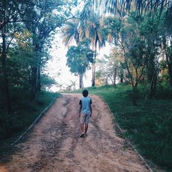 Rear view of man walking on dirt road amidst trees