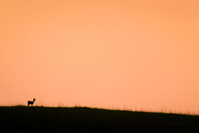 Scenic view of silhouette field against orange sky