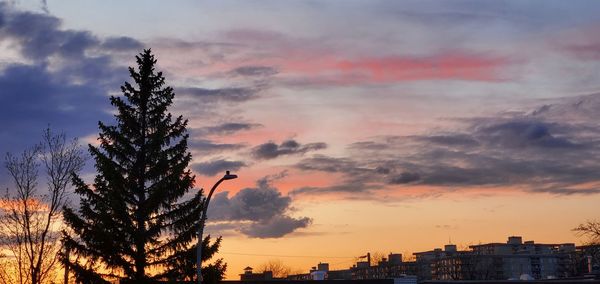 Silhouette trees and buildings against sky during sunset