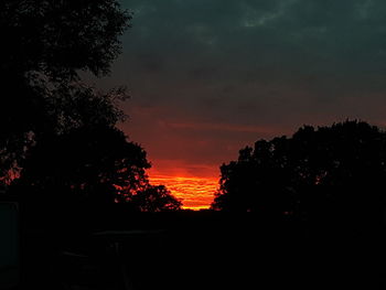 Silhouette trees against sky during sunset