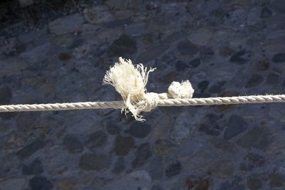 High angle view of tied up rope