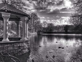 Reflection of trees in water