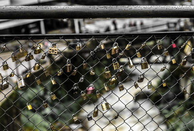 Full frame shot of chainlink fence