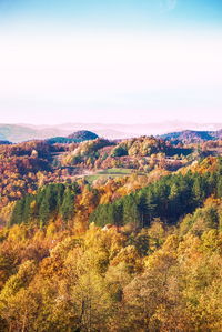 Scenic view of forest against sky during autumn