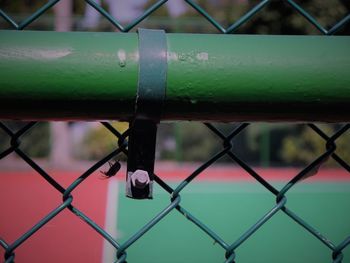 Close-up of housefly on chainlink fence against tennis court