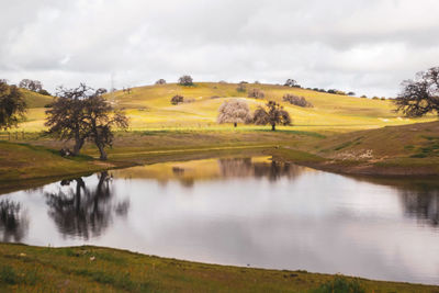 Scenic view of lake and landscape against sky