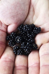 Close-up of hand holding berries