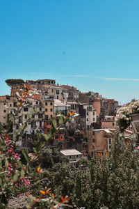 Houses in corniglia against clear blue sky